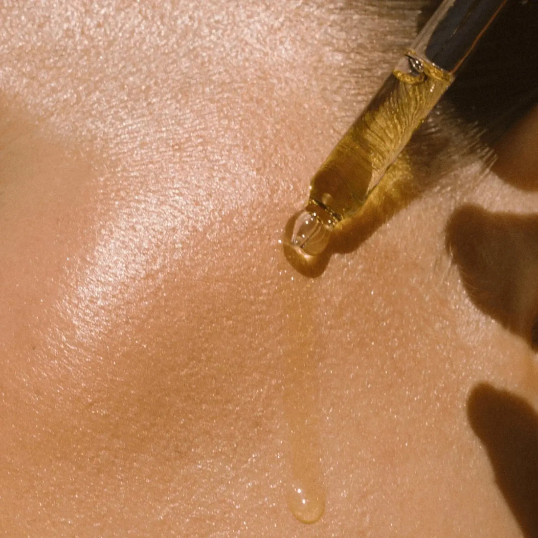 Beste Olie voor Droge Huid | Complete Gids The Oil Producers
