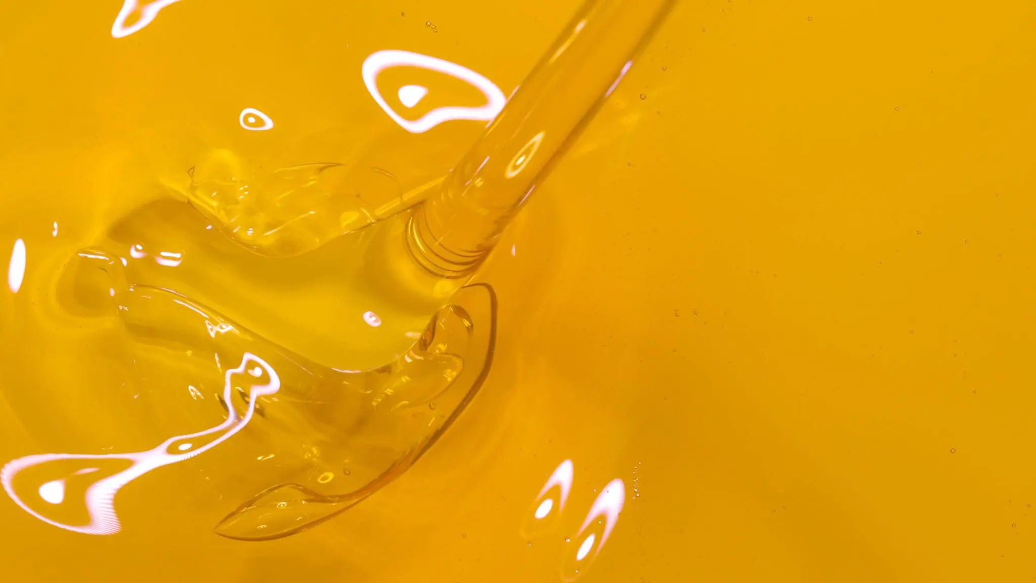 Wat betekent Cold Pressed bij Plantaardige Oliën? | Uitleg The Oil Producers